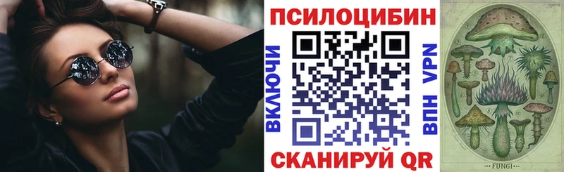 закладка  Ростов  МЕГА как зайти  Галлюциногенные грибы прущие грибы 